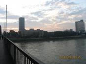    - 2006