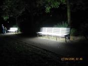   ( ) - 2006