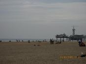   - 2006