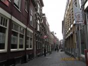 11- 2006