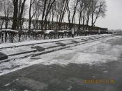   (  ) - 2010