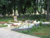   - 2010