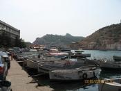    - 2011