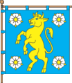 Флаг пгт Кельменцы