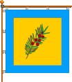 Флаг села Тысменичаны