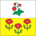 Флаг с. Ягодное