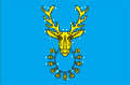 Флаг с. Фесюры
