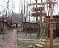 Ясногородская страусовая ферма