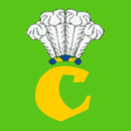Флаг села Стоянов