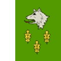 Флаг села Поторица