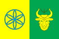 Флаг Турковского района