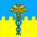 Флаг города Рава-Русская