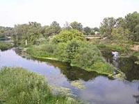 Кобeляки