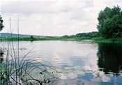 Климентьевский заказник