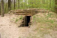 Спадщанский лес