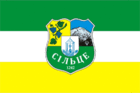 Флаг села Сельцо